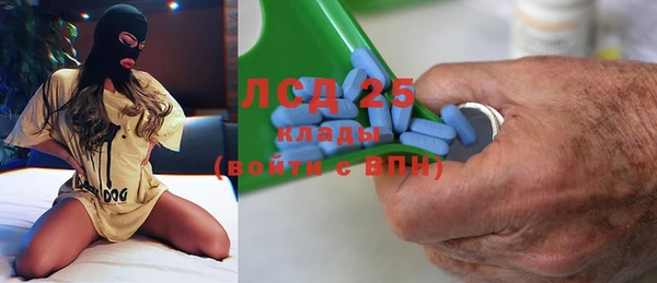 эйфоретик Инта