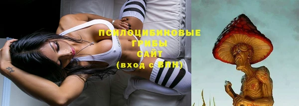 эйфоретик Инта